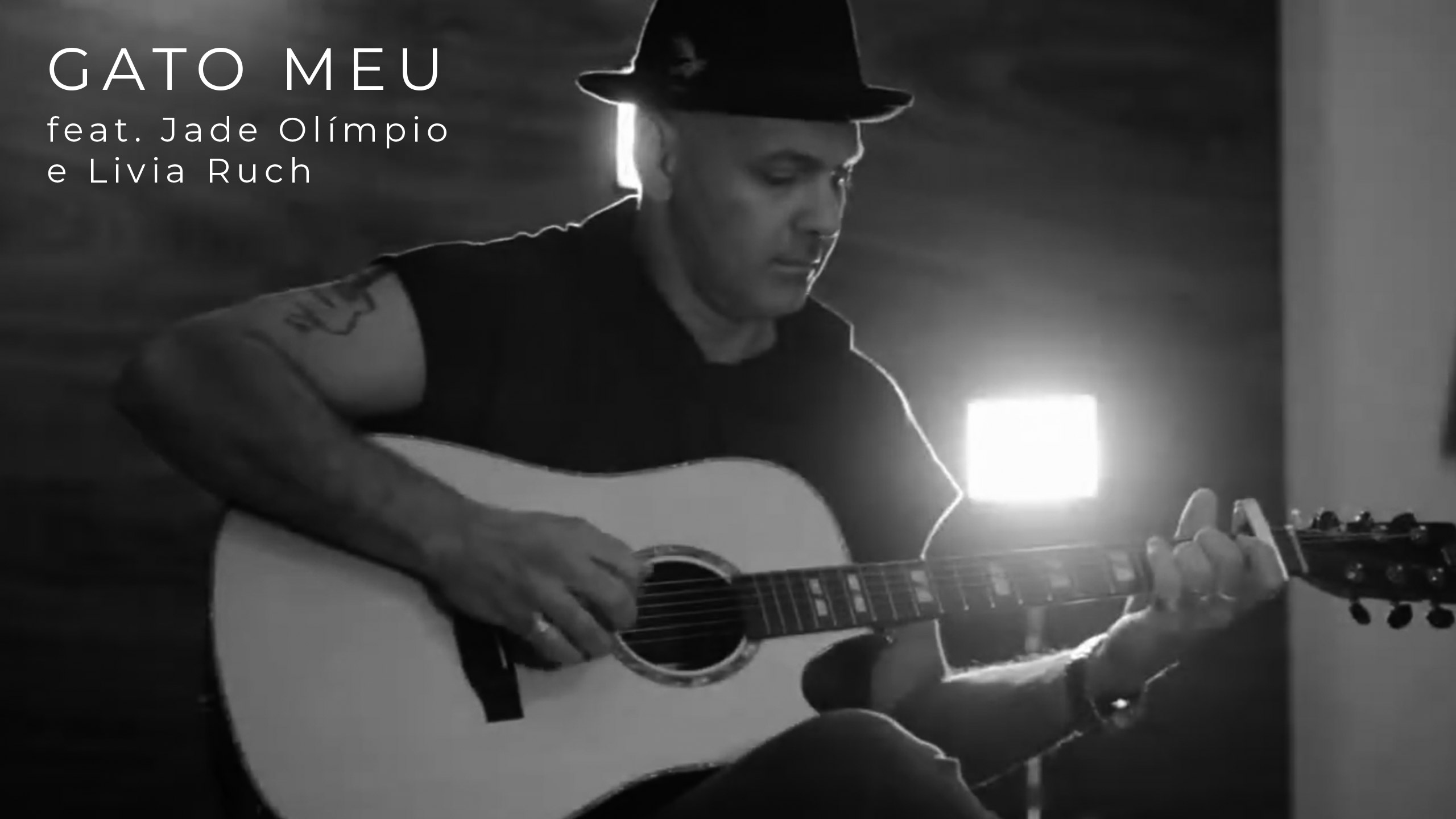 Clipe Gato Meu